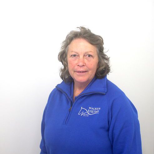 Heather_Greenslade_Walker_Equine_Vets