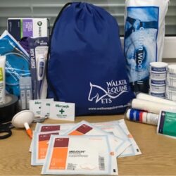 Equine_First_Aid_Kit_Crop